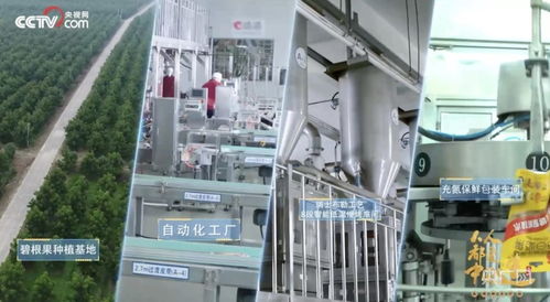 洽洽食品 把控品質從全產業鏈著手